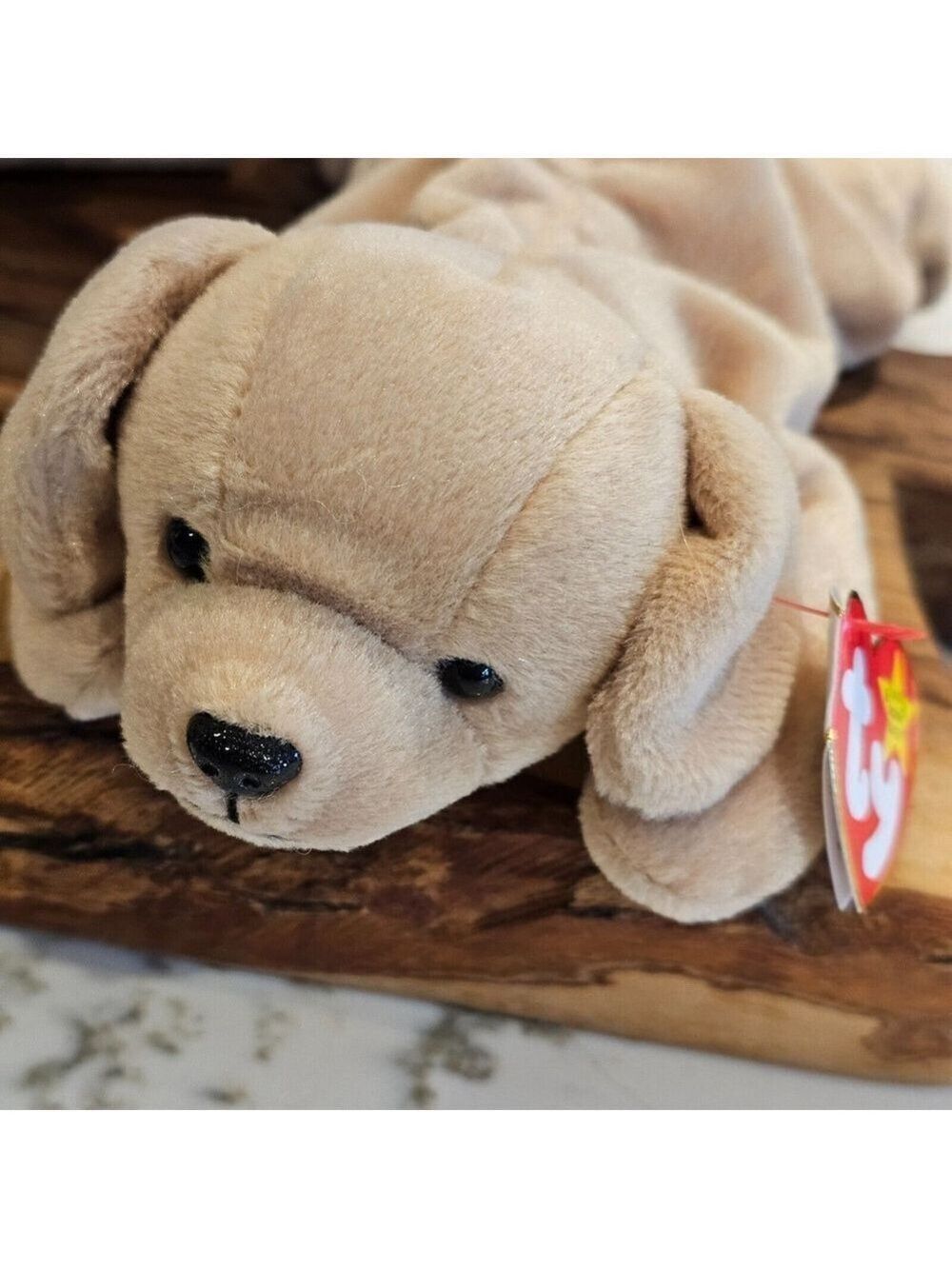 Fetch The Dog TY beanie baby